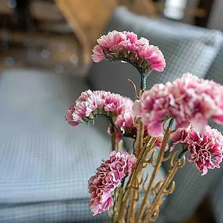 Apartament Lady Milavie *